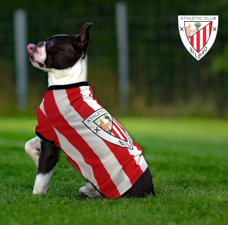 Camiseta perro Athletic de Bilbao